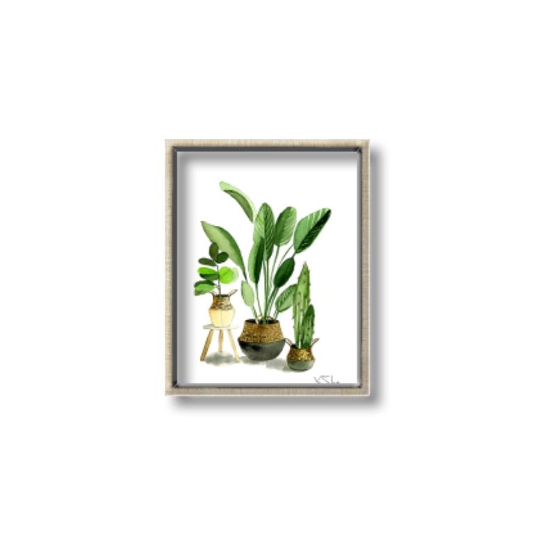 Picture of House Plants I  _GroupedProduct_Rectangle_Portrait_Canvas_Framed_