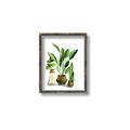 Picture of House Plants I  _GroupedProduct_Rectangle_Portrait_Canvas_Framed_