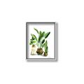 Picture of House Plants I  _GroupedProduct_Rectangle_Portrait_Canvas_Framed_