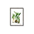 Picture of House Plants I  _GroupedProduct_Rectangle_Portrait_Canvas_Framed_