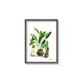 Picture of House Plants I  _GroupedProduct_Rectangle_Portrait_Canvas_Framed_