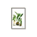 Picture of House Plants I  _GroupedProduct_Rectangle_Portrait_Canvas_Framed_