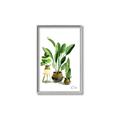 Picture of House Plants I  _GroupedProduct_Rectangle_Portrait_Canvas_Framed_