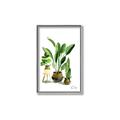 Picture of House Plants I  _GroupedProduct_Rectangle_Portrait_Canvas_Framed_