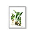 Picture of House Plants I  _GroupedProduct_Rectangle_Portrait_Canvas_Framed_