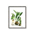 Picture of House Plants I  _GroupedProduct_Rectangle_Portrait_Canvas_Framed_