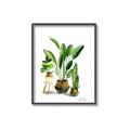 Picture of House Plants I  _GroupedProduct_Rectangle_Portrait_Canvas_Framed_