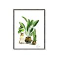 Picture of House Plants I  _GroupedProduct_Rectangle_Portrait_Canvas_Framed_