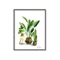 Picture of House Plants I  _GroupedProduct_Rectangle_Portrait_Canvas_Framed_
