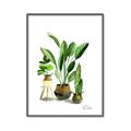 Picture of House Plants I  _GroupedProduct_Rectangle_Portrait_Canvas_Framed_