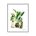 Picture of House Plants I  _GroupedProduct_Rectangle_Portrait_Canvas_Framed_