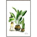 Picture of House Plants I  _GroupedProduct_Rectangle_Portrait_Canvas_Framed_