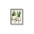 Picture of House Plants II  _GroupedProduct_Rectangle_Portrait_Canvas_Framed_
