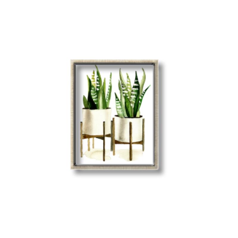 Picture of House Plants II  _GroupedProduct_Rectangle_Portrait_Canvas_Framed_