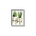 Picture of House Plants II  _GroupedProduct_Rectangle_Portrait_Canvas_Framed_