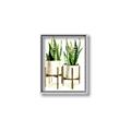 Picture of House Plants II  _GroupedProduct_Rectangle_Portrait_Canvas_Framed_