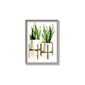 Picture of House Plants II  _GroupedProduct_Rectangle_Portrait_Canvas_Framed_