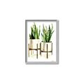 Picture of House Plants II  _GroupedProduct_Rectangle_Portrait_Canvas_Framed_