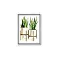 Picture of House Plants II  _GroupedProduct_Rectangle_Portrait_Canvas_Framed_
