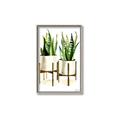 Picture of House Plants II  _GroupedProduct_Rectangle_Portrait_Canvas_Framed_