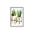 Picture of House Plants II  _GroupedProduct_Rectangle_Portrait_Canvas_Framed_