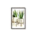 Picture of House Plants II  _GroupedProduct_Rectangle_Portrait_Canvas_Framed_