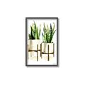 Picture of House Plants II  _GroupedProduct_Rectangle_Portrait_Canvas_Framed_