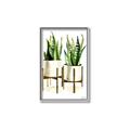 Picture of House Plants II  _GroupedProduct_Rectangle_Portrait_Canvas_Framed_