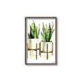 Picture of House Plants II  _GroupedProduct_Rectangle_Portrait_Canvas_Framed_
