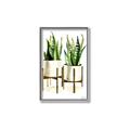 Picture of House Plants II  _GroupedProduct_Rectangle_Portrait_Canvas_Framed_