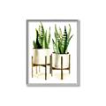 Picture of House Plants II  _GroupedProduct_Rectangle_Portrait_Canvas_Framed_