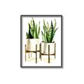 Picture of House Plants II  _GroupedProduct_Rectangle_Portrait_Canvas_Framed_