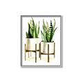 Picture of House Plants II  _GroupedProduct_Rectangle_Portrait_Canvas_Framed_