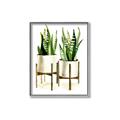 Picture of House Plants II  _GroupedProduct_Rectangle_Portrait_Canvas_Framed_