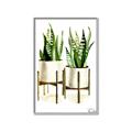 Picture of House Plants II  _GroupedProduct_Rectangle_Portrait_Canvas_Framed_