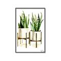 Picture of House Plants II  _GroupedProduct_Rectangle_Portrait_Canvas_Framed_