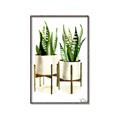 Picture of House Plants II  _GroupedProduct_Rectangle_Portrait_Canvas_Framed_