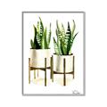 Picture of House Plants II  _GroupedProduct_Rectangle_Portrait_Canvas_Framed_