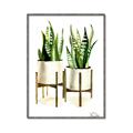 Picture of House Plants II  _GroupedProduct_Rectangle_Portrait_Canvas_Framed_