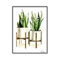 Picture of House Plants II  _GroupedProduct_Rectangle_Portrait_Canvas_Framed_