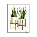 Picture of House Plants II  _GroupedProduct_Rectangle_Portrait_Canvas_Framed_
