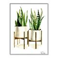 Picture of House Plants II  _GroupedProduct_Rectangle_Portrait_Canvas_Framed_