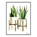 Picture of House Plants II  _GroupedProduct_Rectangle_Portrait_Canvas_Framed_
