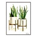 Picture of House Plants II  _GroupedProduct_Rectangle_Portrait_Canvas_Framed_