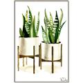 Picture of House Plants II  _GroupedProduct_Rectangle_Portrait_Canvas_Framed_