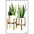 Picture of House Plants II  _GroupedProduct_Rectangle_Portrait_Canvas_Framed_