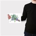 Picture of Succulent Group _GroupedProduct_Rectangle_Landscape_Canvas_