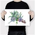 Picture of Succulent Group _GroupedProduct_Rectangle_Landscape_Canvas_