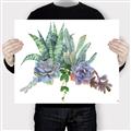 Picture of Succulent Group _GroupedProduct_Rectangle_Landscape_Canvas_