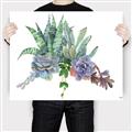 Picture of Succulent Group _GroupedProduct_Rectangle_Landscape_Canvas_